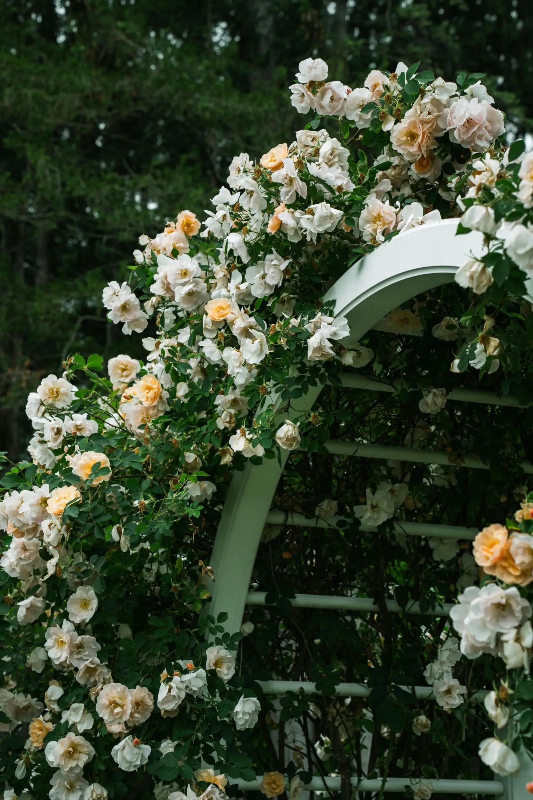 Love Blossoms: Floral Inspiration for Your Wedding Décor!. Mobile Image